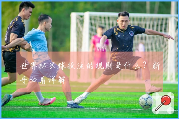 世界杯买球投注的规则是什么？新手必看详解