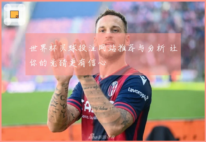 世界杯买球投注网站推荐与分析 让你的竞猜更有信心