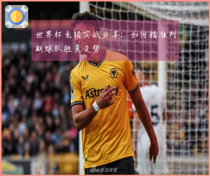 世界杯竞猜实战分享：如何精准判断球队胜负走势