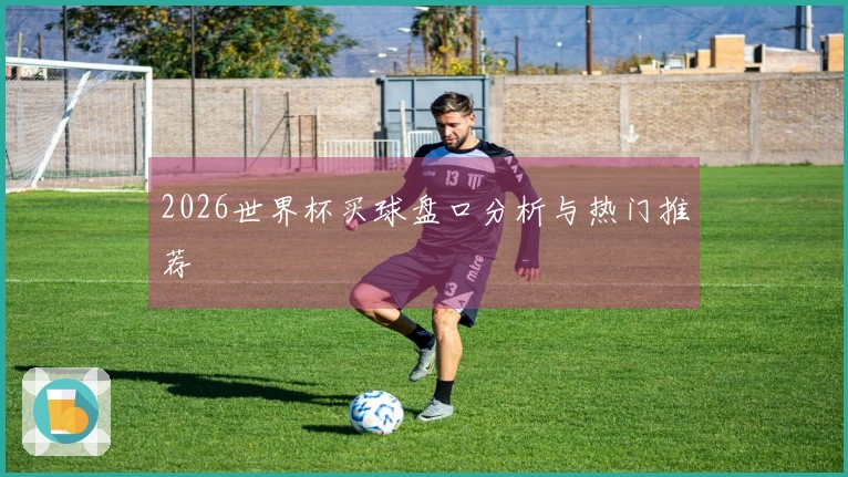 2026世界杯买球盘口分析与热门推荐