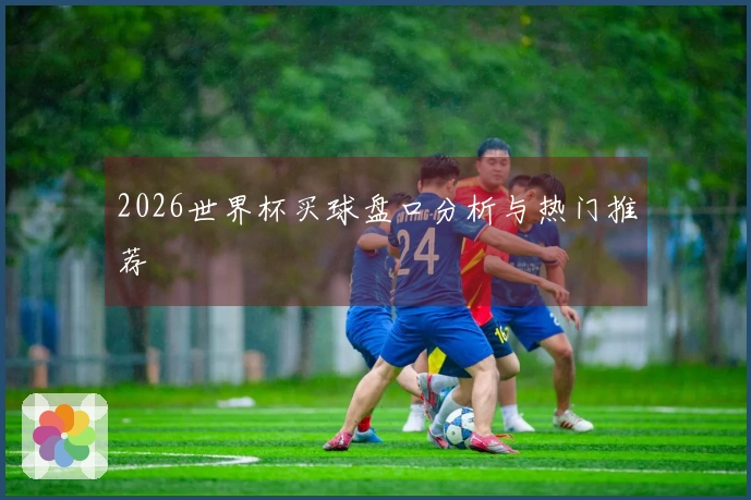 2026世界杯买球盘口分析与热门推荐