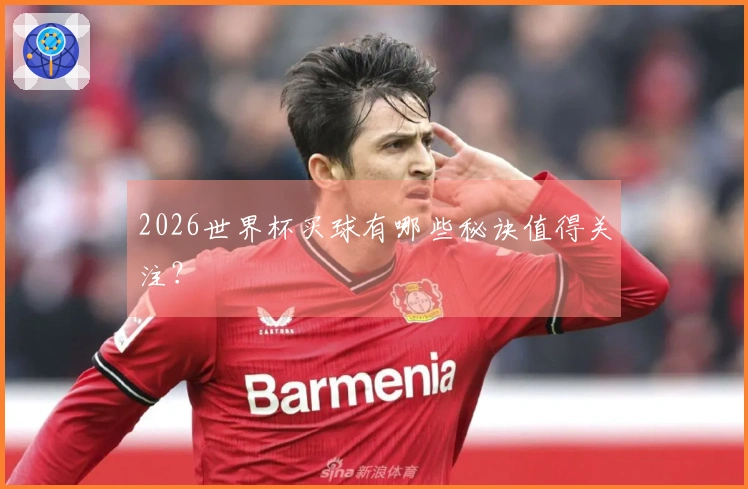 2026世界杯买球有哪些秘诀值得关注？