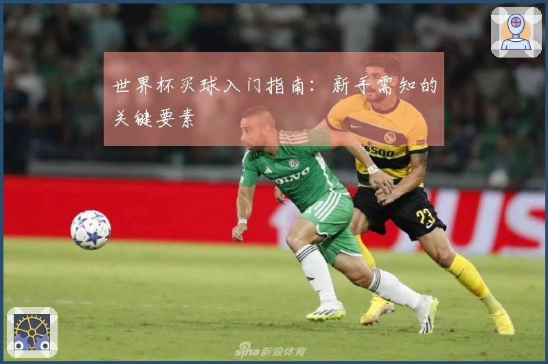 世界杯买球入门指南：新手需知的关键要素