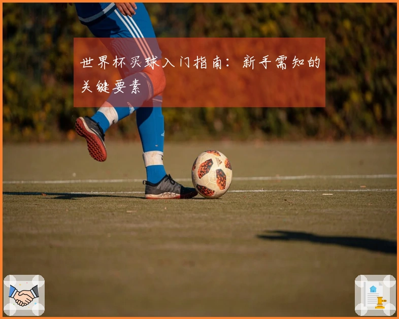 世界杯买球入门指南：新手需知的关键要素